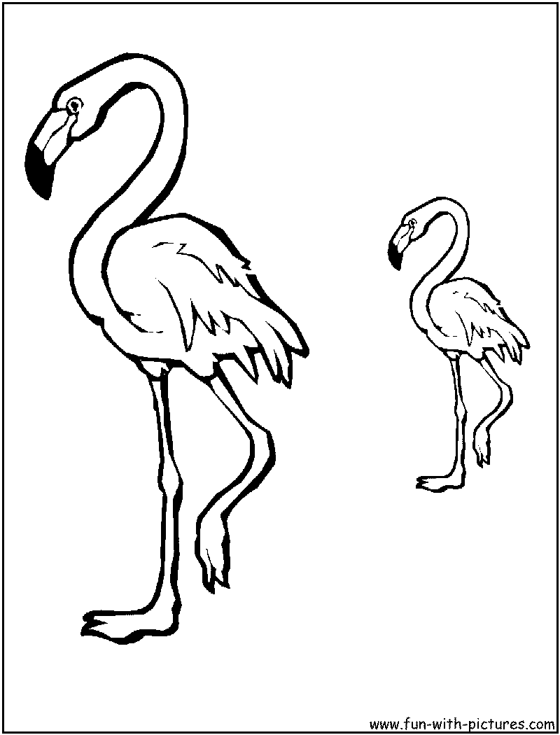 7 Pics of Baby Flamingo Coloring Pages - Baby Flamingo Coloring ...