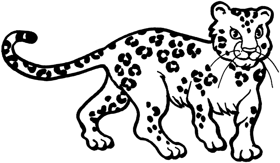 Leopard Coloring Page - Coloring Home