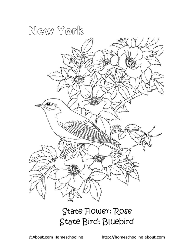oklahoma state flower coloring pages - photo #28