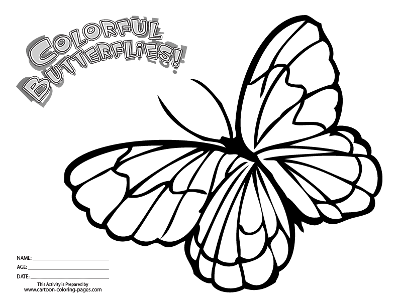Coloring Page of Butterfly