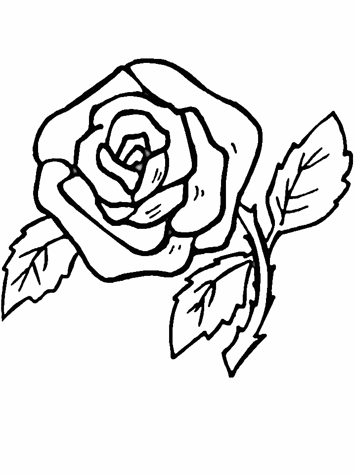 Flowers Coloring Pages Page 3: Printable Coloring Flowers, Flower 