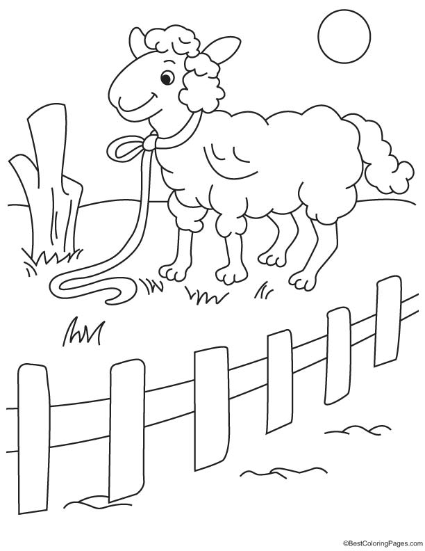 Sheep in fence coloring page | Download Free Sheep in fence coloring page  for kids | Best Coloring Pages