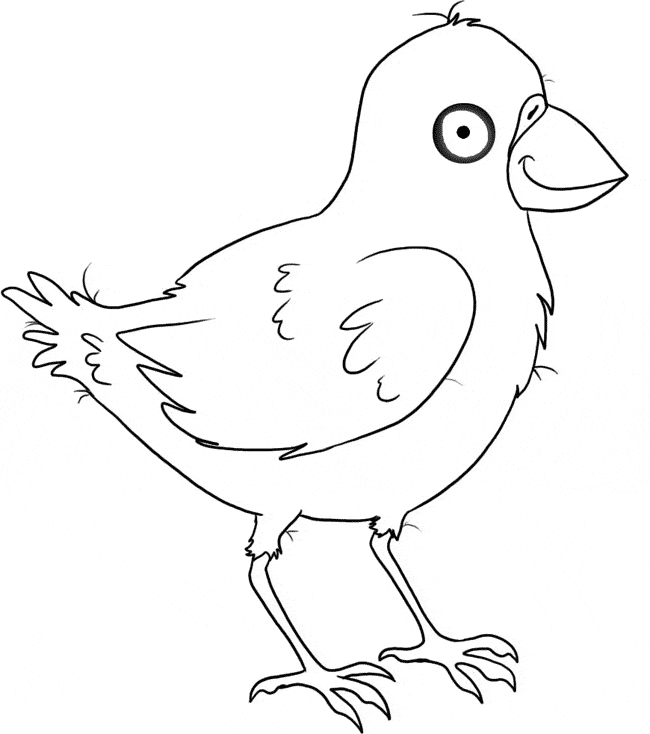 Crow coloring page - Animals Town - Animal color sheets Crow picture