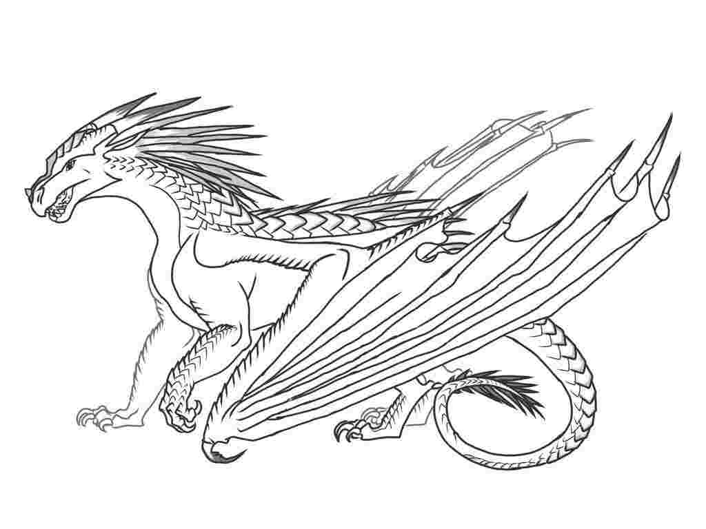 Skywing Wings Of Fire Dragon Coloring Pages Canvas Stache