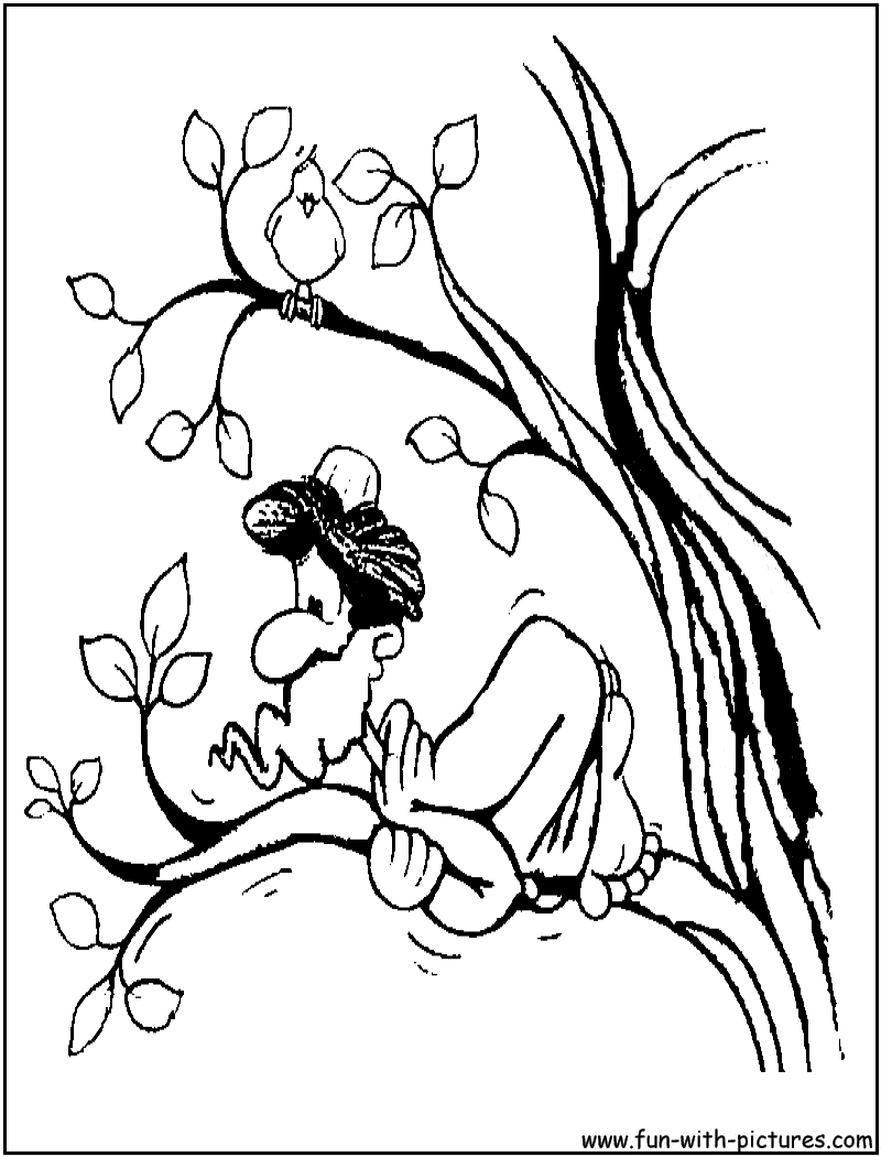 Best Photos of Coloring Page Of Zacchaeus In A Tree - Zacchaeus ...