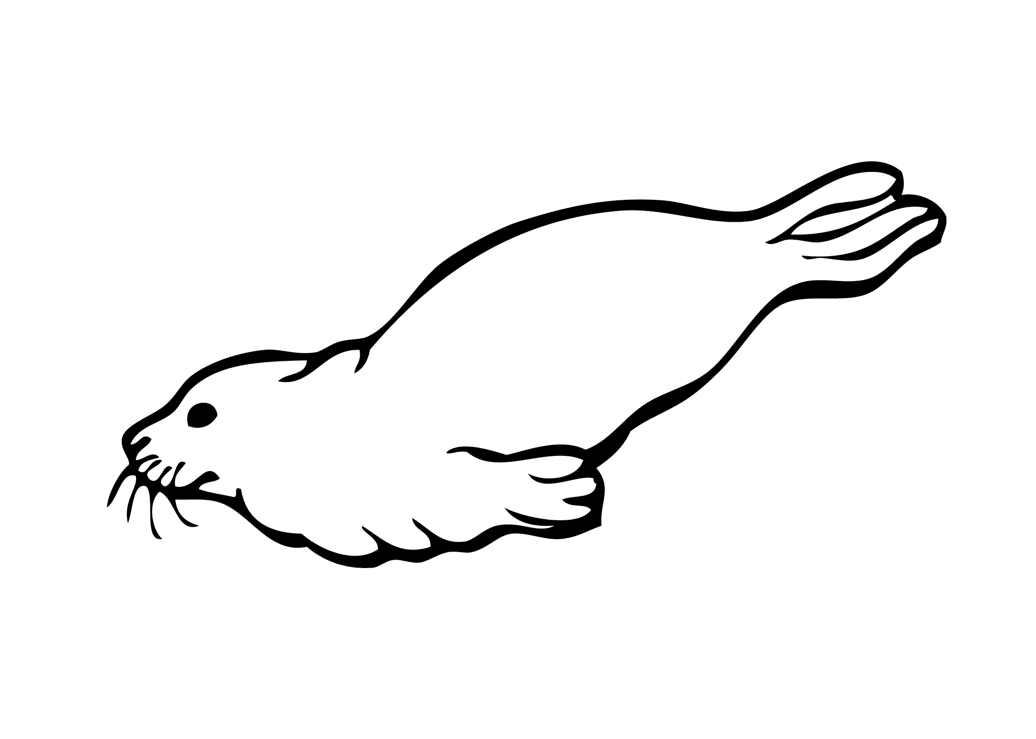 Baby Seal Coloring Pages - Coloring Home