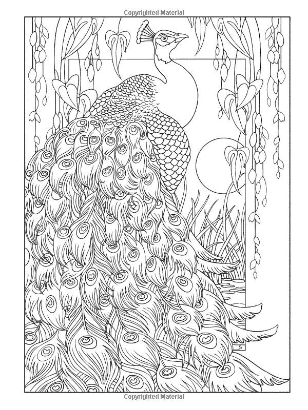 Adult Coloring Pages Peacock - Coloring Home