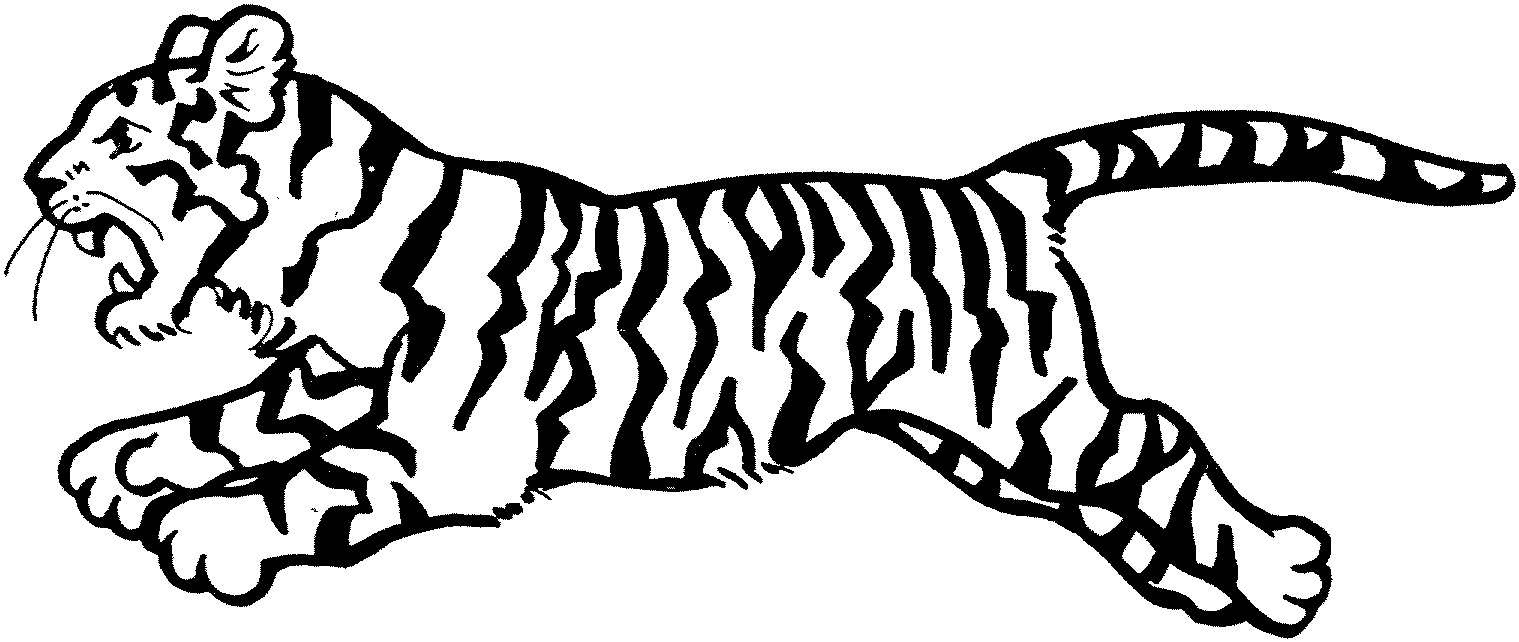 Coloring Tiger - Coloring Pages for Kids and for Adults