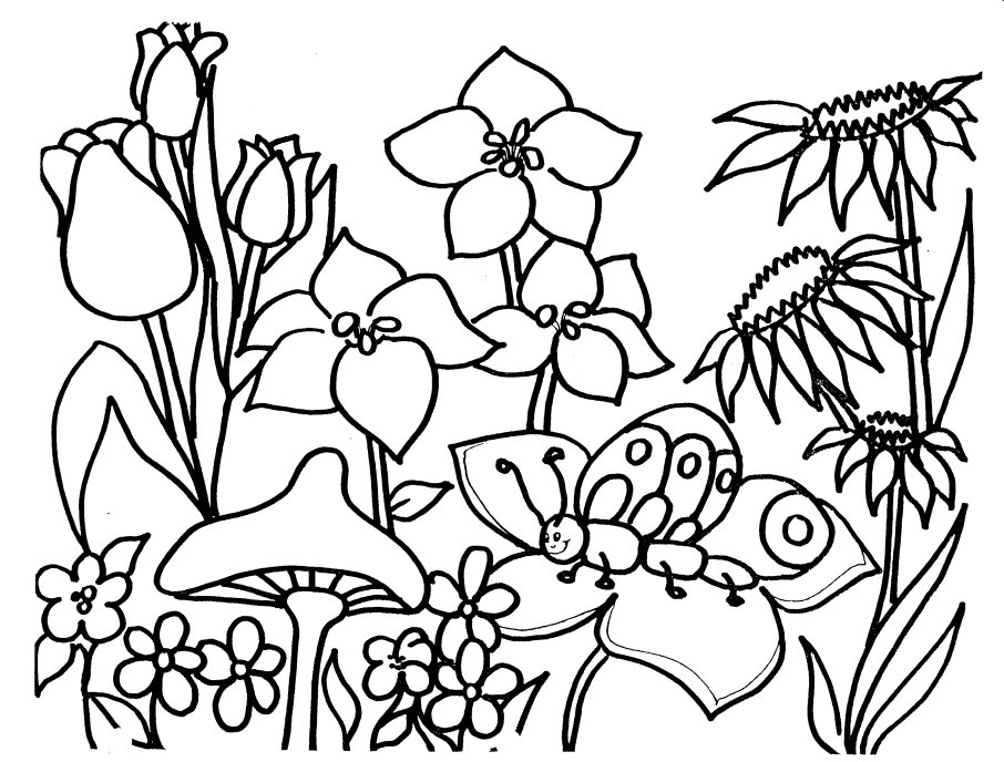 Spring Coloring Pages For Kids : Spring Coloring Activities 