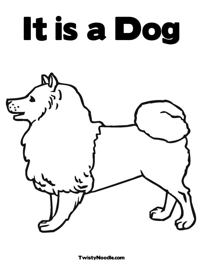 collie dog Colouring Pages