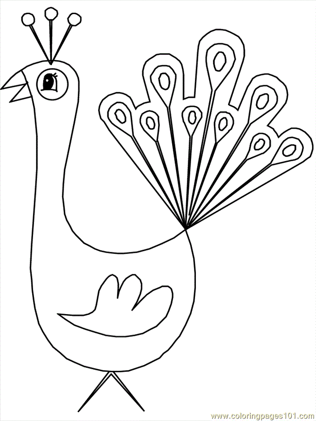 Coloring Pages Peacock (Animals > Others) - free printable 