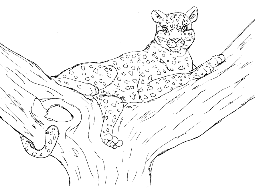Leopard coloring page - Animals Town - Animal color sheets Leopard 