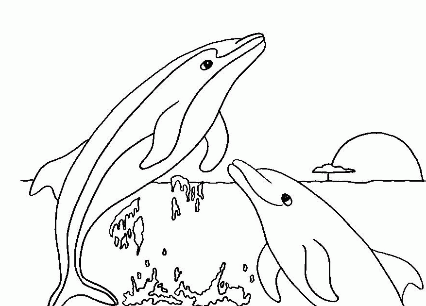 Winter The Dolphin Coloring Pages - Coloring Home