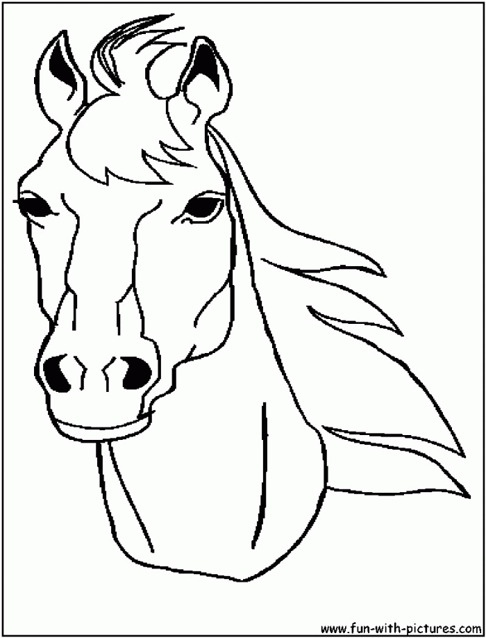 Horse Head Coloring Page Educations