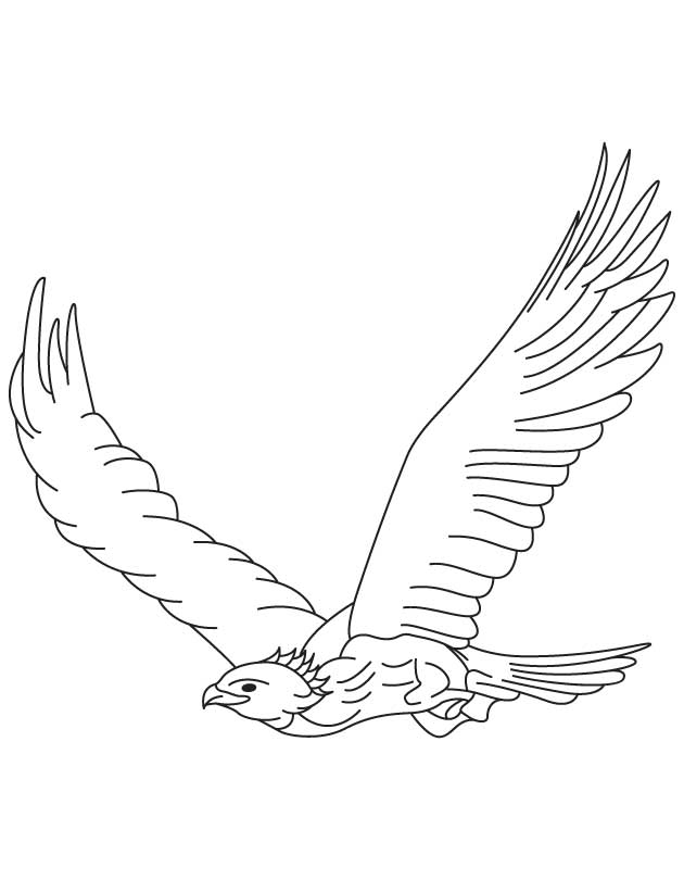 Flying Bird Coloring Pages Home Golden Eagle Flight Page Download