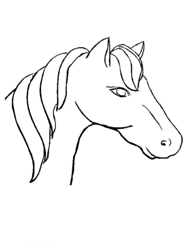 Download The Horse's Head Sideways Coloring Page Or Print The 