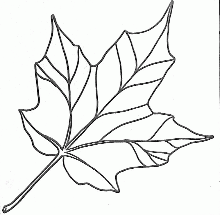 Leaf Coloring Pages For Preschool Coloring Home