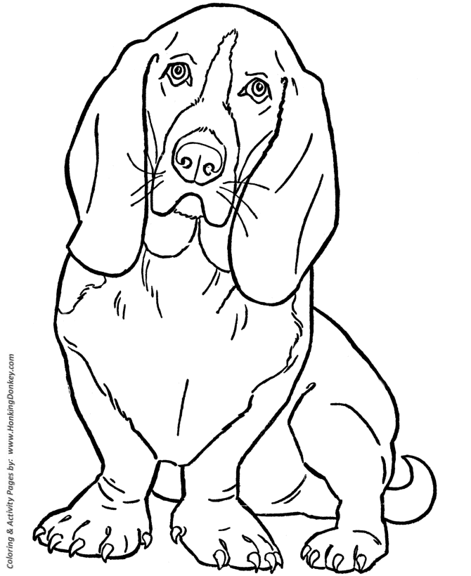 Dog Coloring Pages | Printable Basset Hound coloring page sheet 