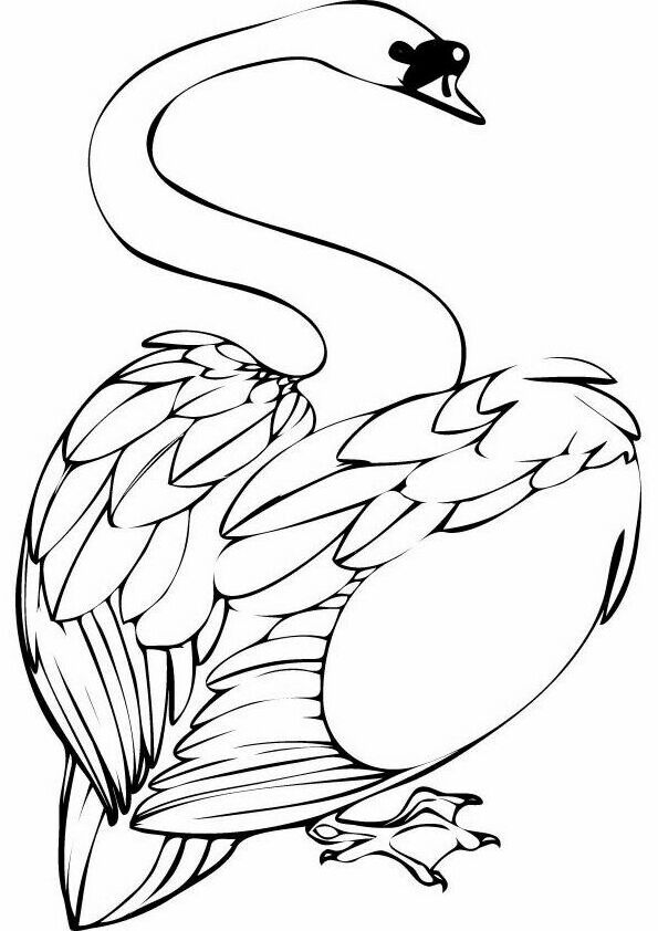 Swan coloring pages to download and print for free