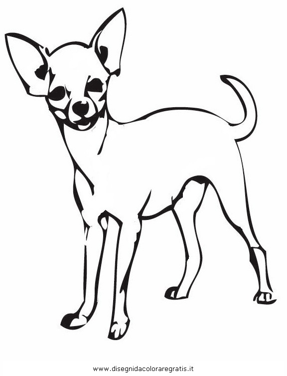 Chihuahua Coloring Pages Coloring Home
