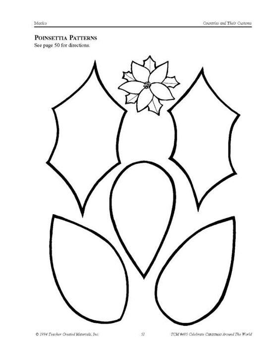 Poinsettia Flower Printable Template Coloring Home