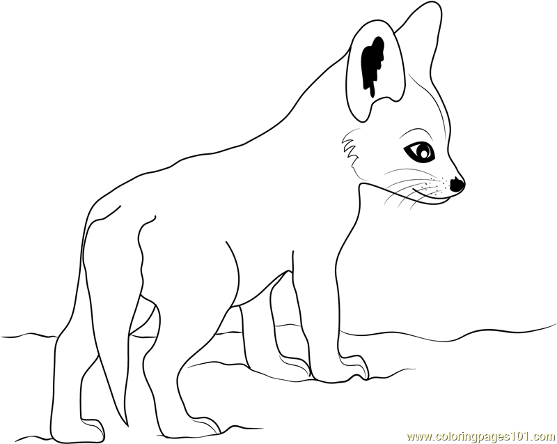 Cute Baby Fox Coloring Page - Free Fox Coloring Pages : ColoringPages101.com
