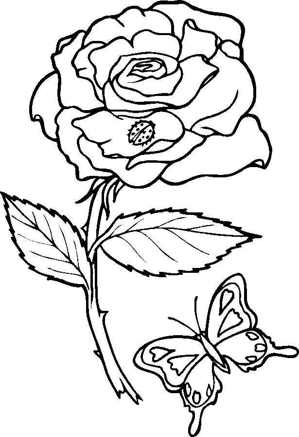 free-adult-printable-coloring-pages-roses-heart-coloring-home