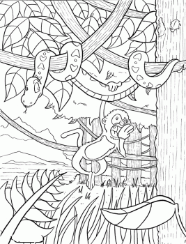 Jungle - Coloring Pages for Kids and for Adults
