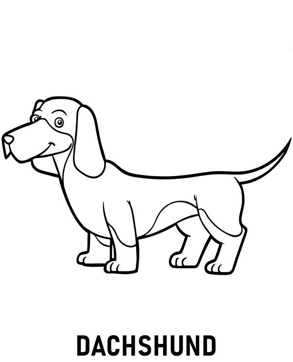 Print dachshund coloring page dog - Topcoloringpages.net