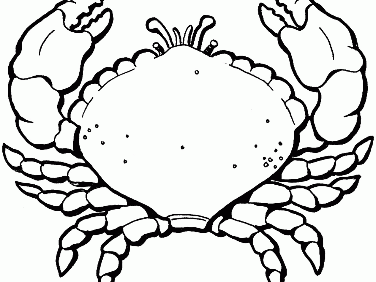 coloring ocean crab printable preschool primarygames animal roe sheets animals scenes popular boys coloringhome