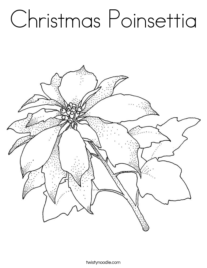 Christmas Poinsettia Coloring Page - Twisty Noodle