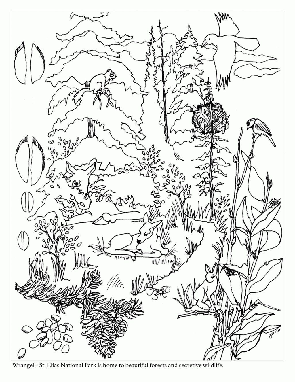 Free Woodland Creature Coloring Pages - Coloring Home