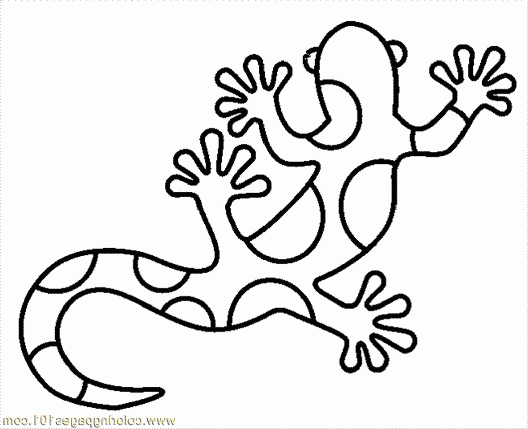 Coloring Pages Lizard Home Lezard Reptile Free Printable 459076 Baby