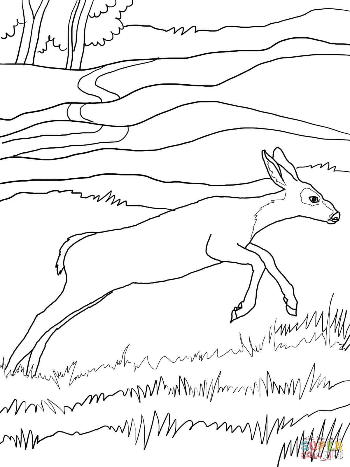 Mule Deer Baby coloring page | Free Printable Coloring Pages