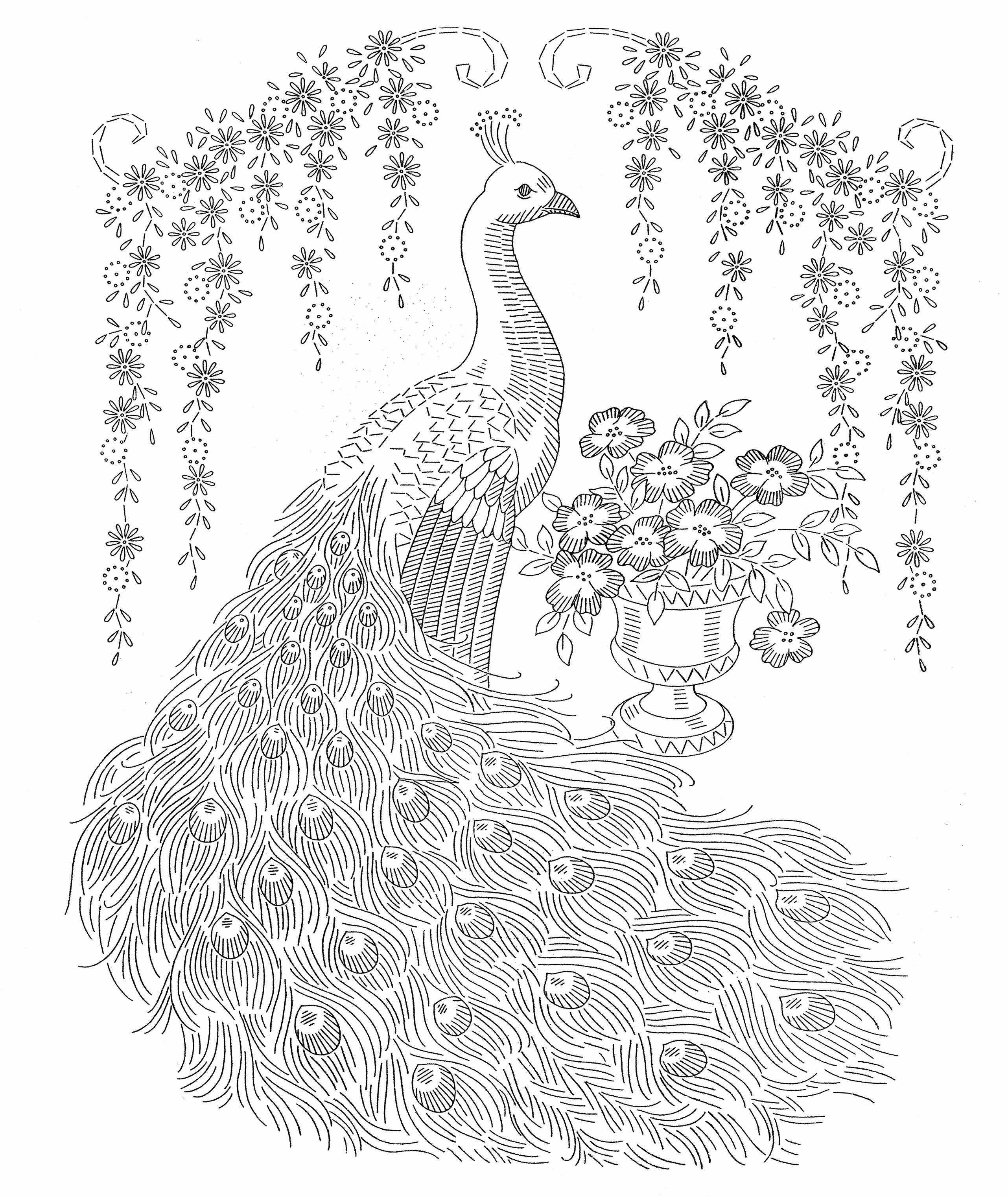 coloring-pages-for-adults-difficult-peacock-2-jpg-coloring-home
