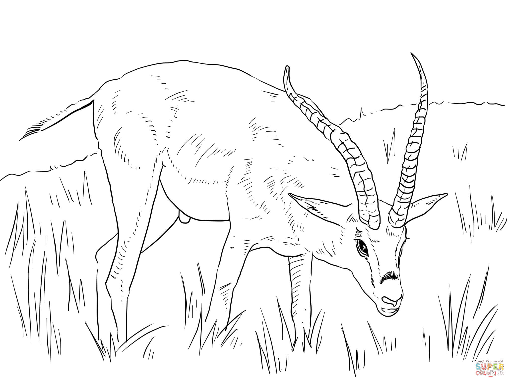 African Animals Coloring Pages Free Printable Pictures