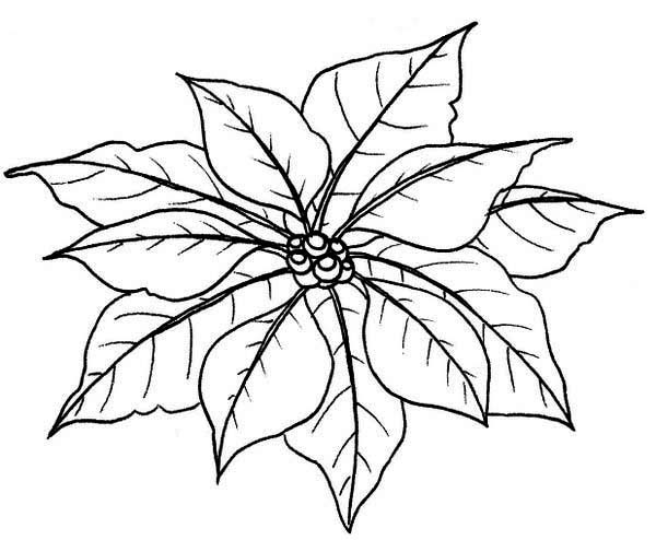 Poinsettia Outline 84471 | DFILES