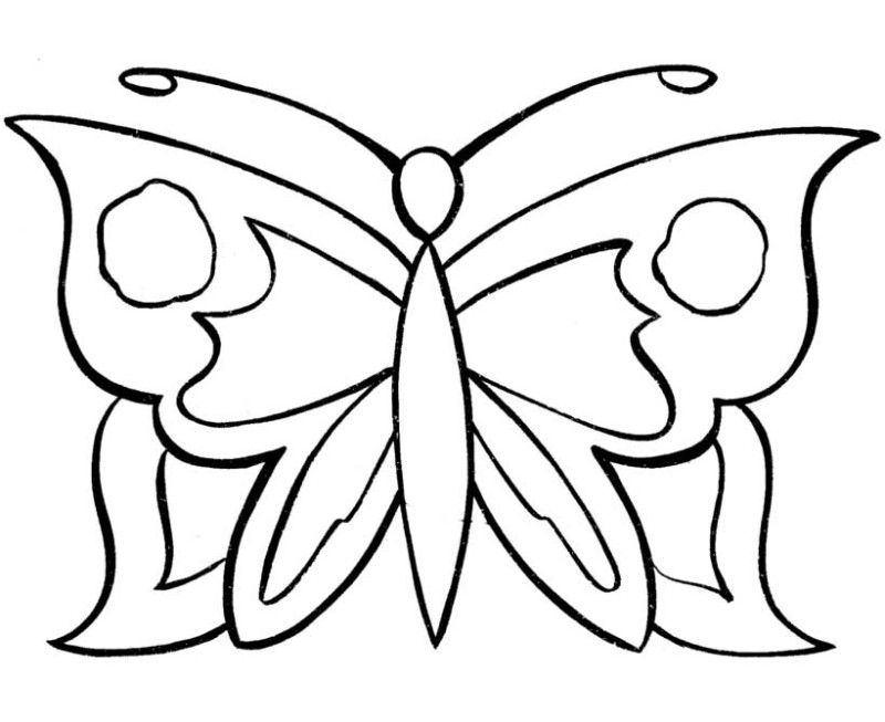 Color Butterfly Coloring Home Simple Pattern Pages