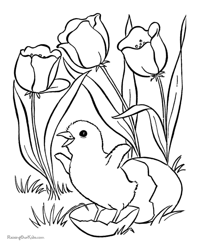 Printable Coloring Pages Of Flowers