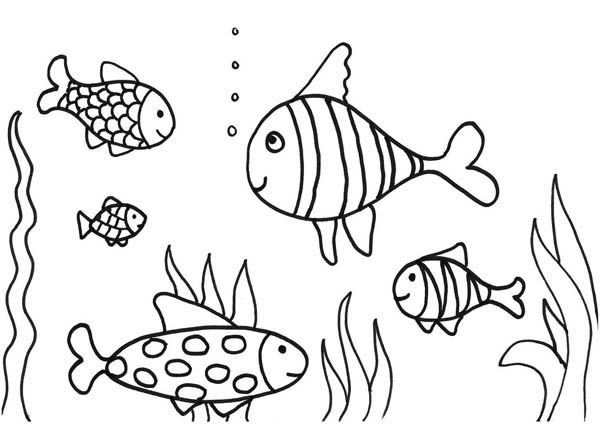 Fish Tank Coloring Page Free Pages Masivy World