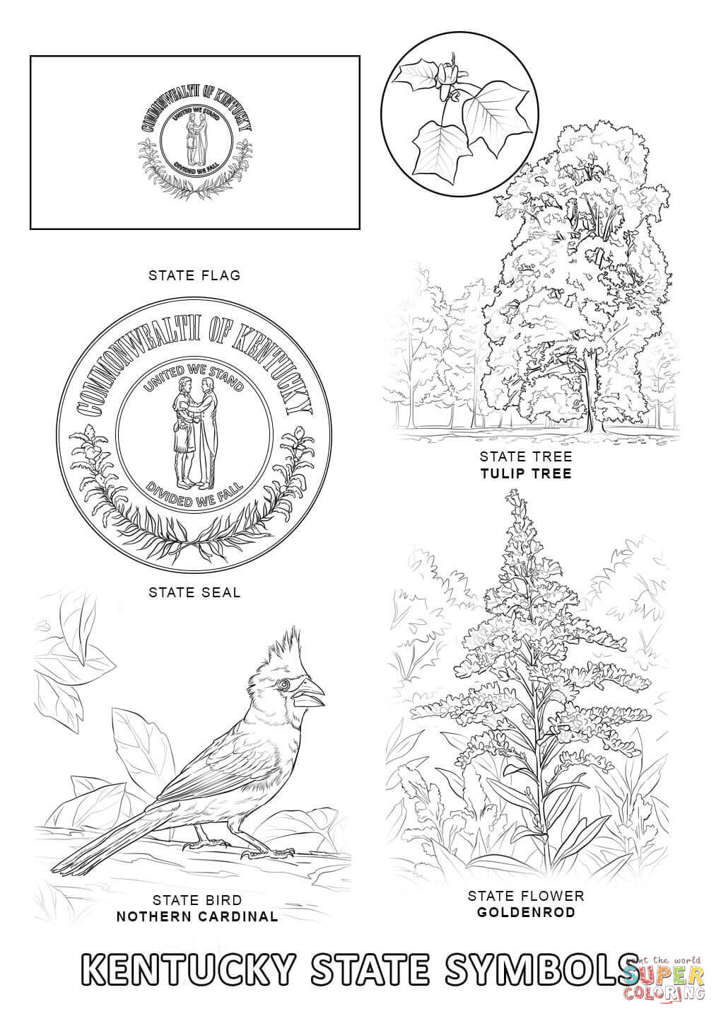 Kentucky State Flag Coloring Page - Coloring Home