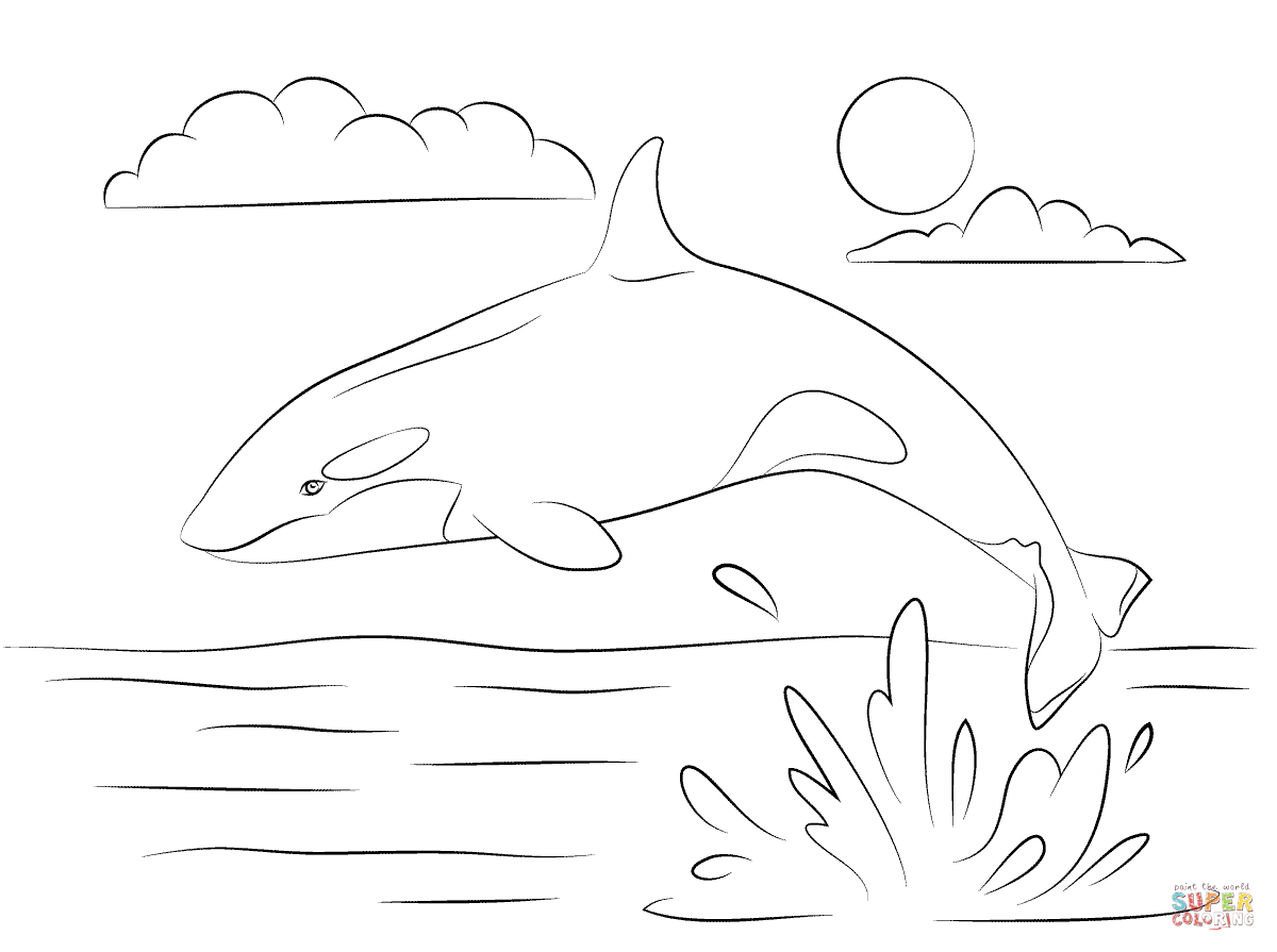 Cute Killer Whale is Jumping Out Of Water coloring page | Free ...