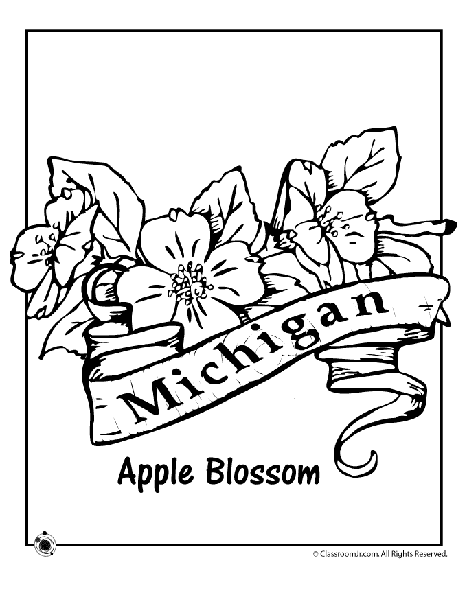 Michigan State Flower Coloring Page - Woo! Jr. Kids Activities