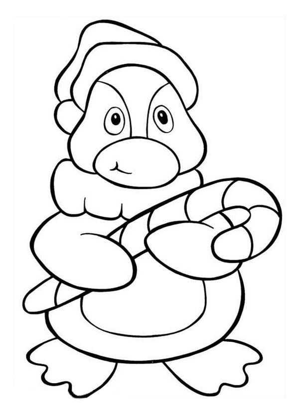 A Cute Little Penguin Holding Christmas Candy Cane Coloring Page ...