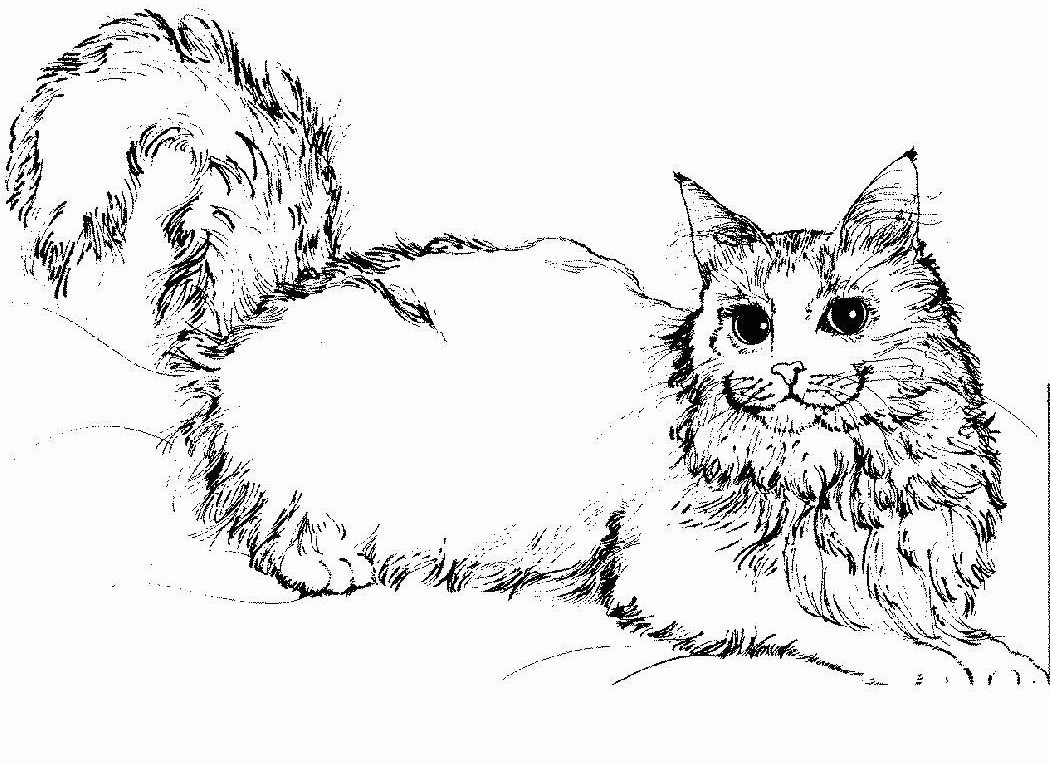 Cute Cat Coloring Pages To Print - Coloring Home