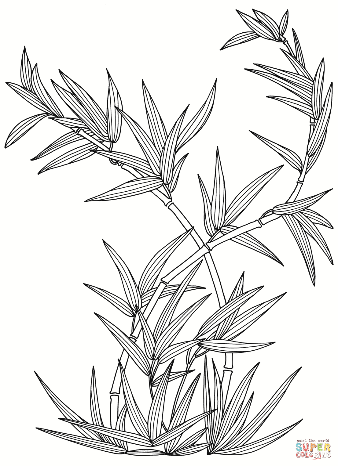 137 Animal Bamboo Coloring Page for Adult
