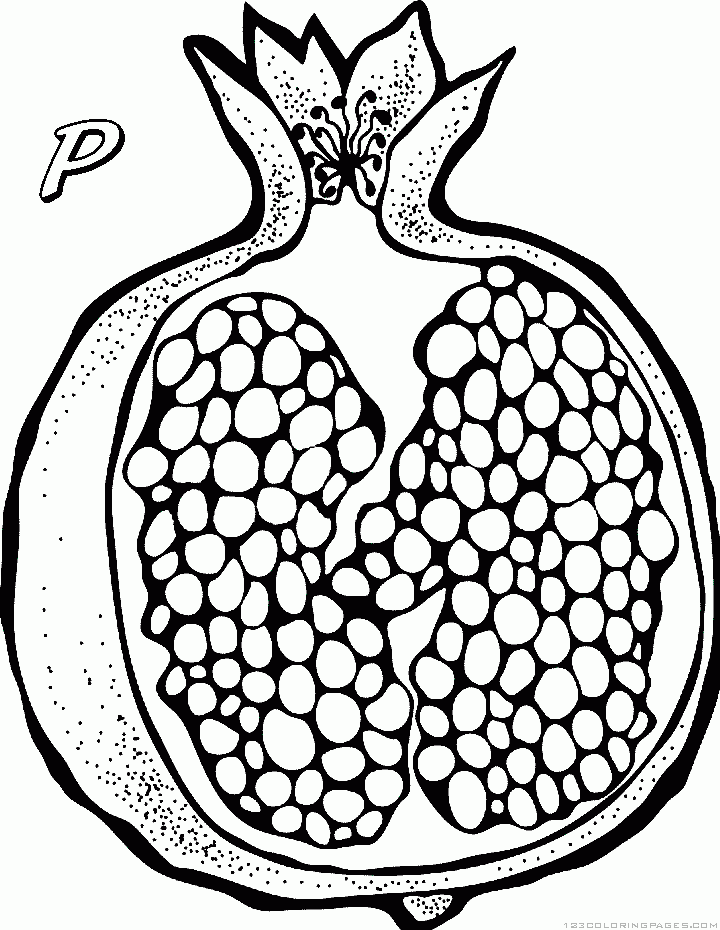 Pomegranate Clipart drawing 26 - 720 X 930 | Pomegranate drawing,  Pomegranate art, Pomegranate print