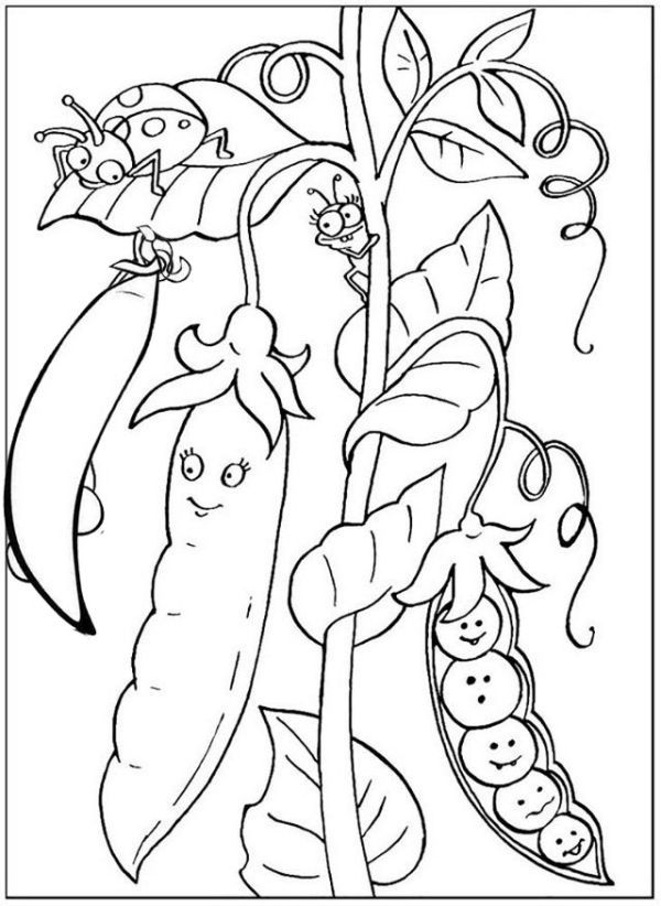 Free Peas Coloring Pages Printable in 2020 | Coloring pages, Flower coloring  pages, Coloring pages for kids