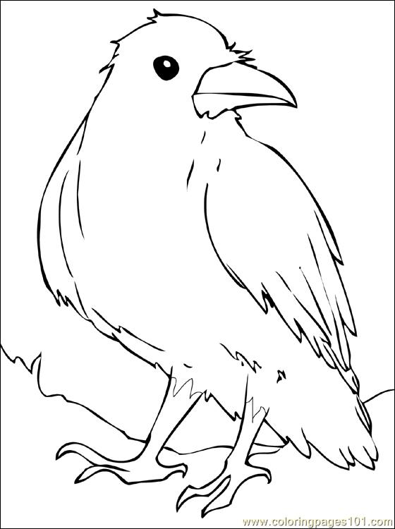 Raven Coloring Page - Free Crow Coloring Pages : ColoringPages101.com