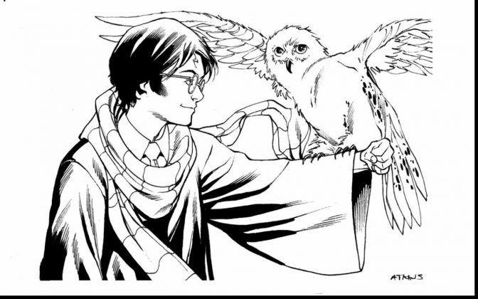 19 Hedwig Coloring Pages KloeShivek